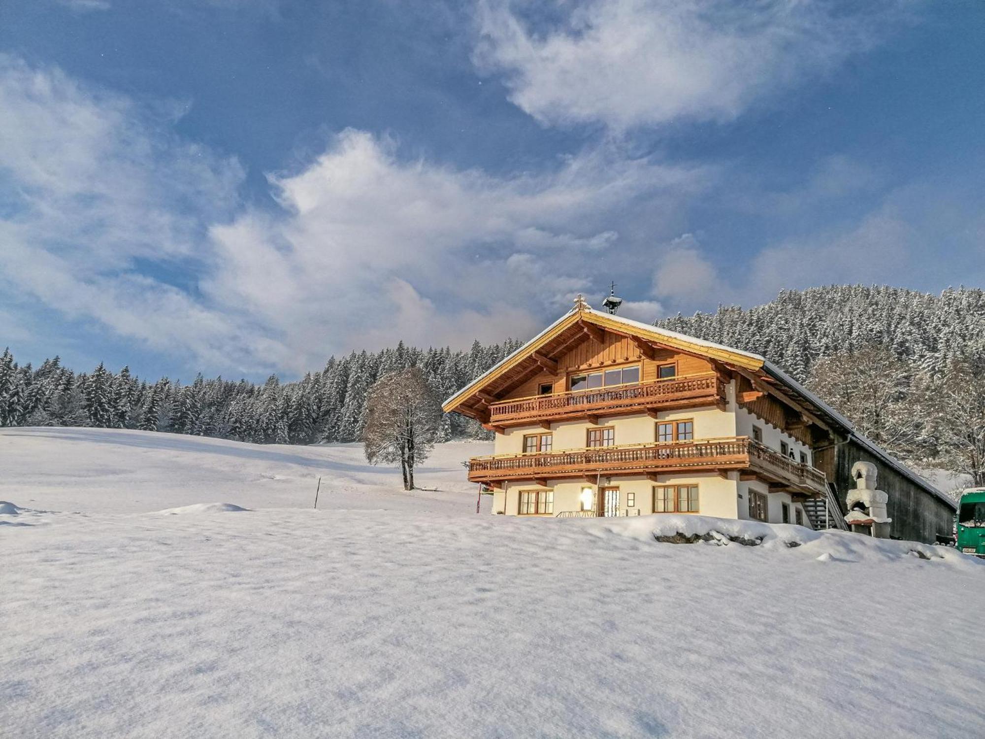 Flicklhof Xl Lägenhet Hopfgarten im Brixental Exteriör bild