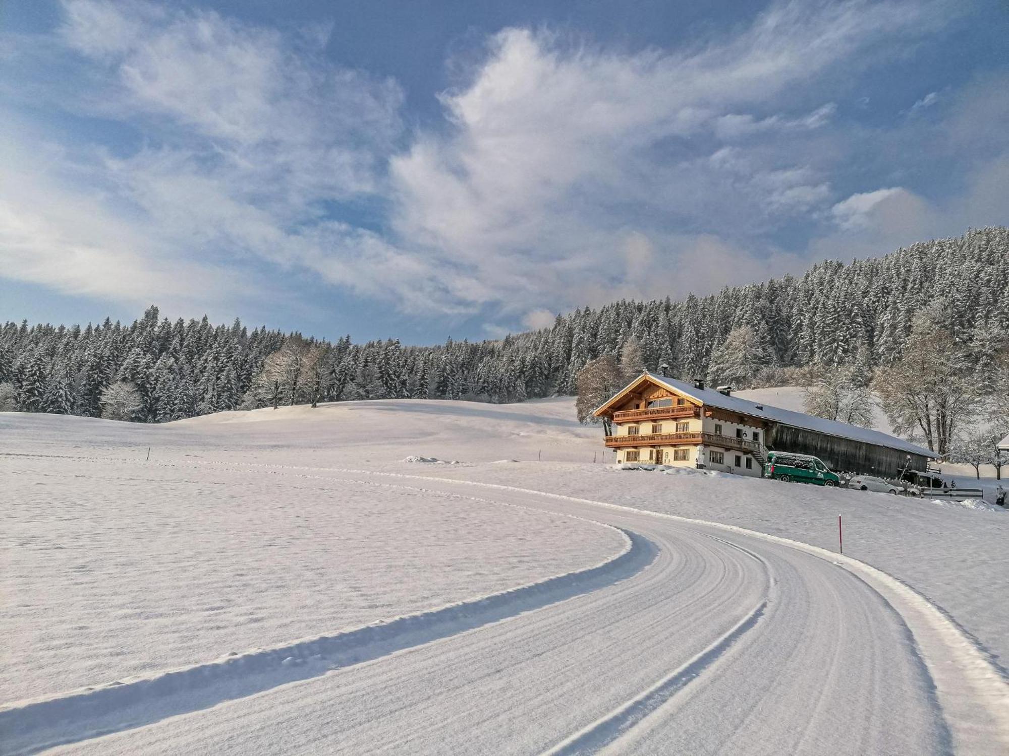 Flicklhof Xl Lägenhet Hopfgarten im Brixental Exteriör bild