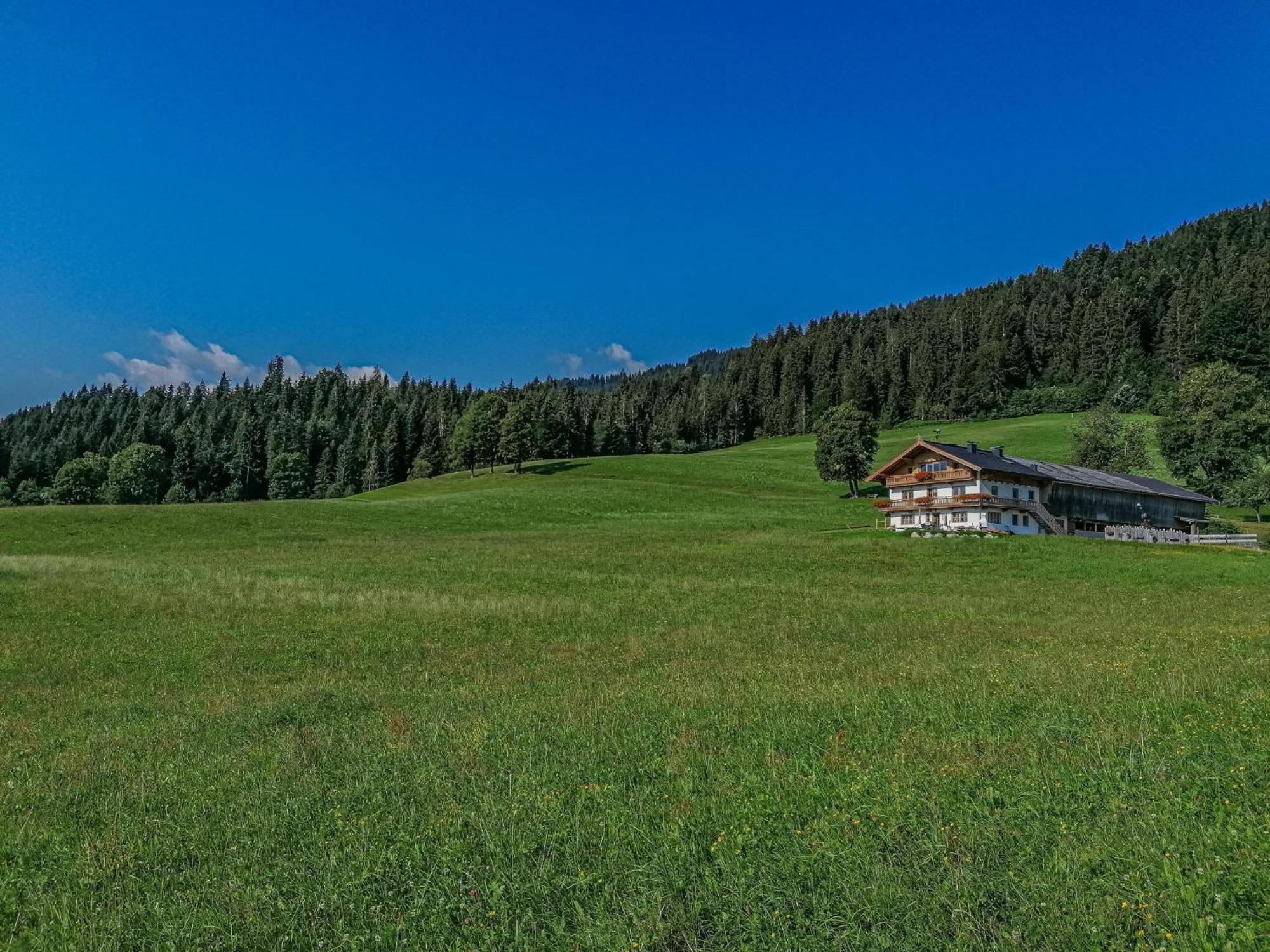 Flicklhof Xl Lägenhet Hopfgarten im Brixental Exteriör bild