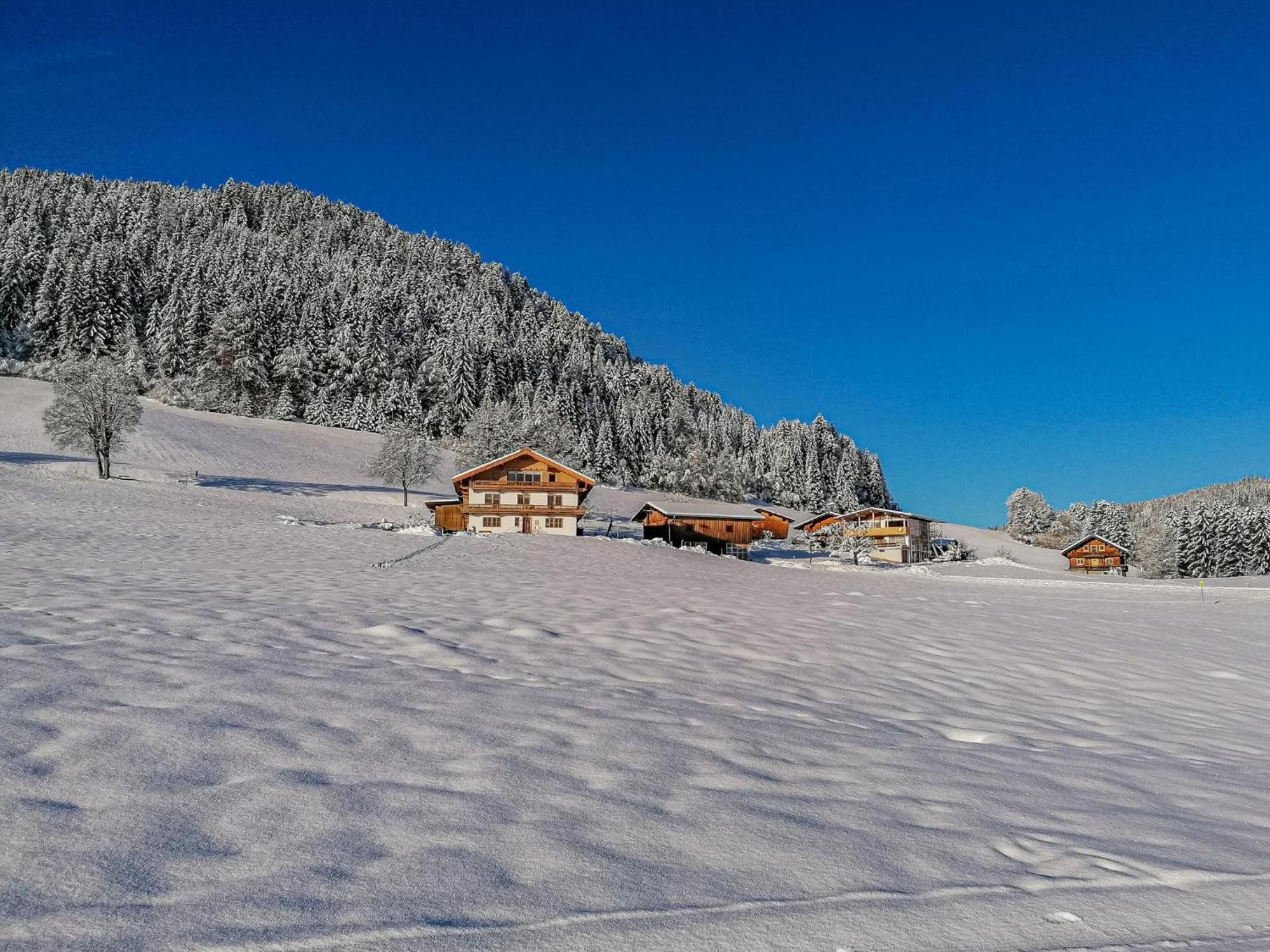 Flicklhof Xl Lägenhet Hopfgarten im Brixental Exteriör bild
