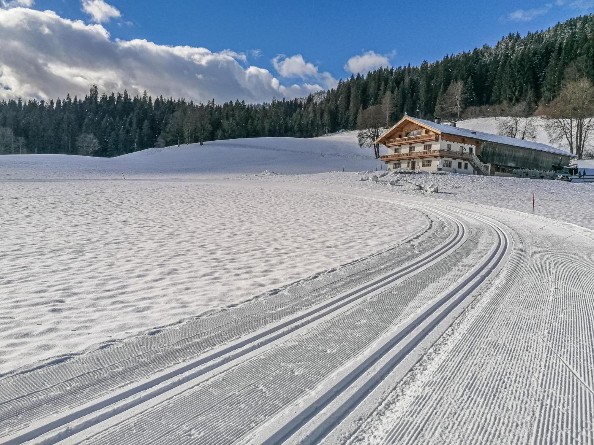 Flicklhof Xl Lägenhet Hopfgarten im Brixental Exteriör bild