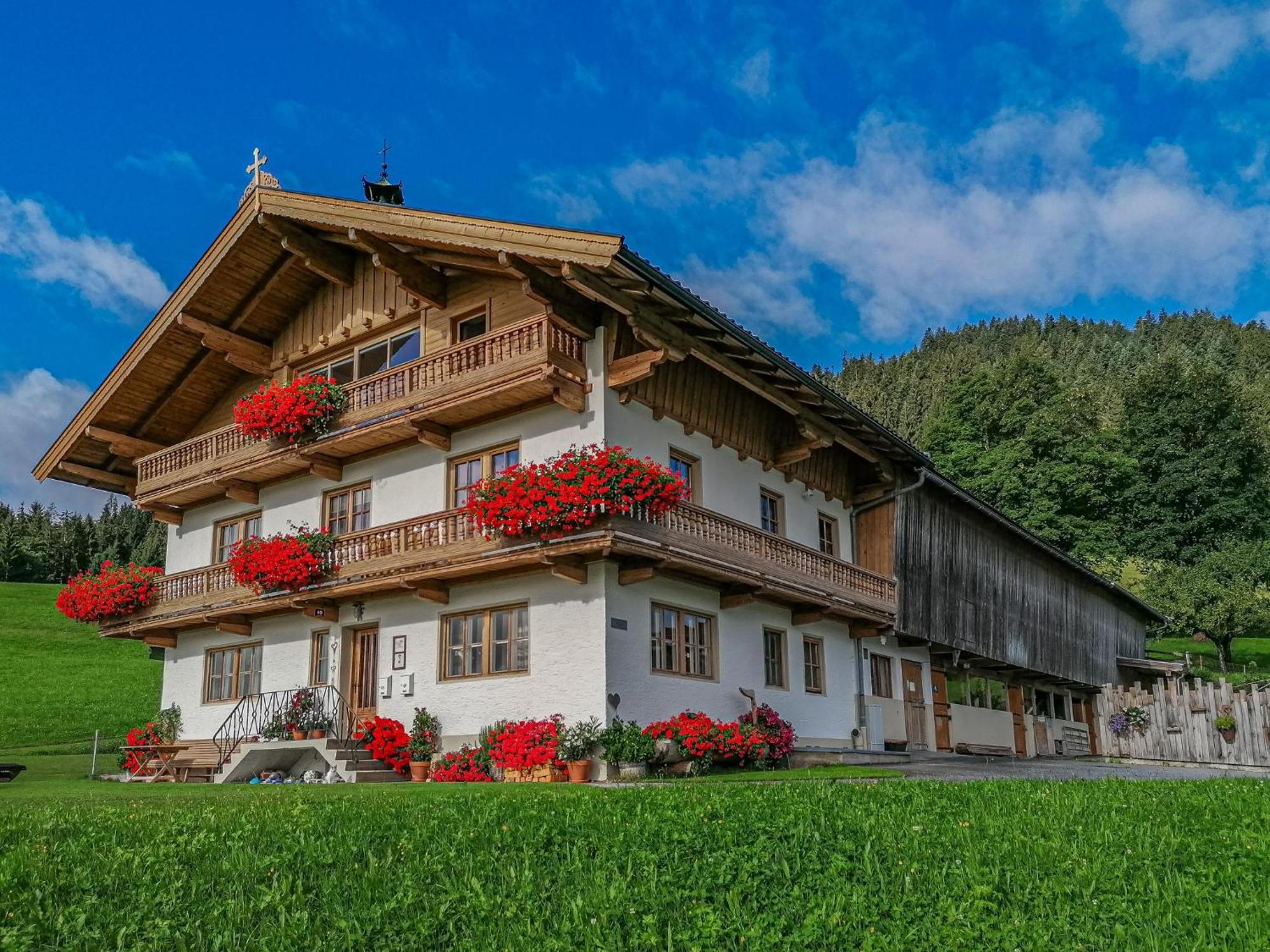 Flicklhof Xl Lägenhet Hopfgarten im Brixental Exteriör bild