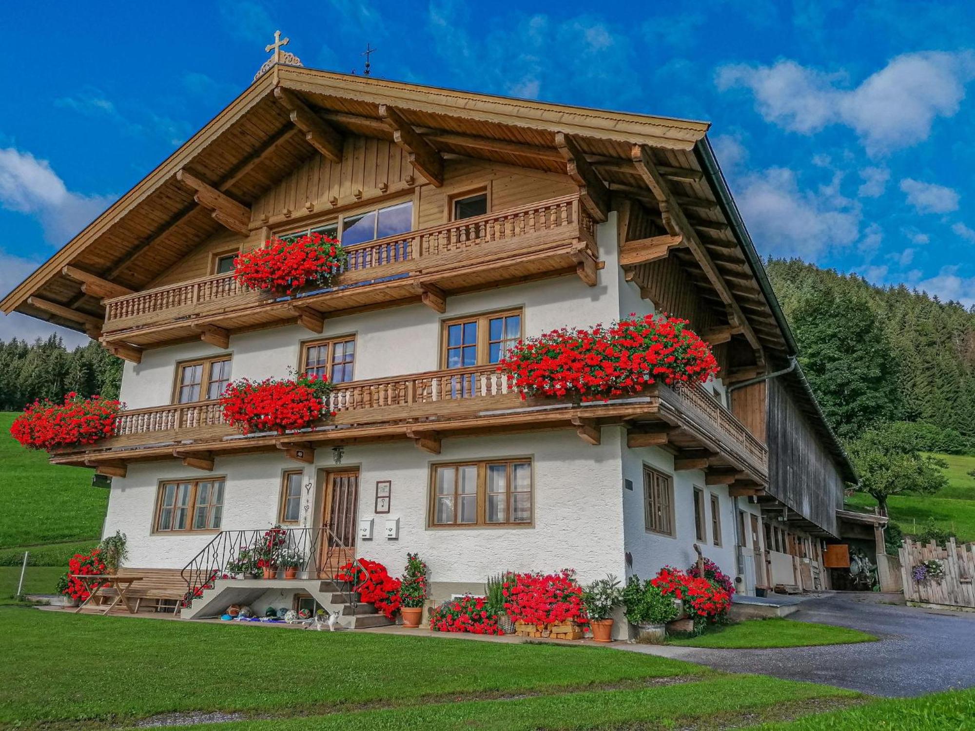 Flicklhof Xl Lägenhet Hopfgarten im Brixental Exteriör bild